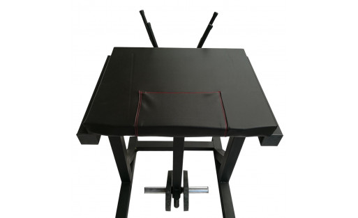 Reverse Hyperextension Pro
