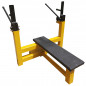 Olympic Bench IPF 100