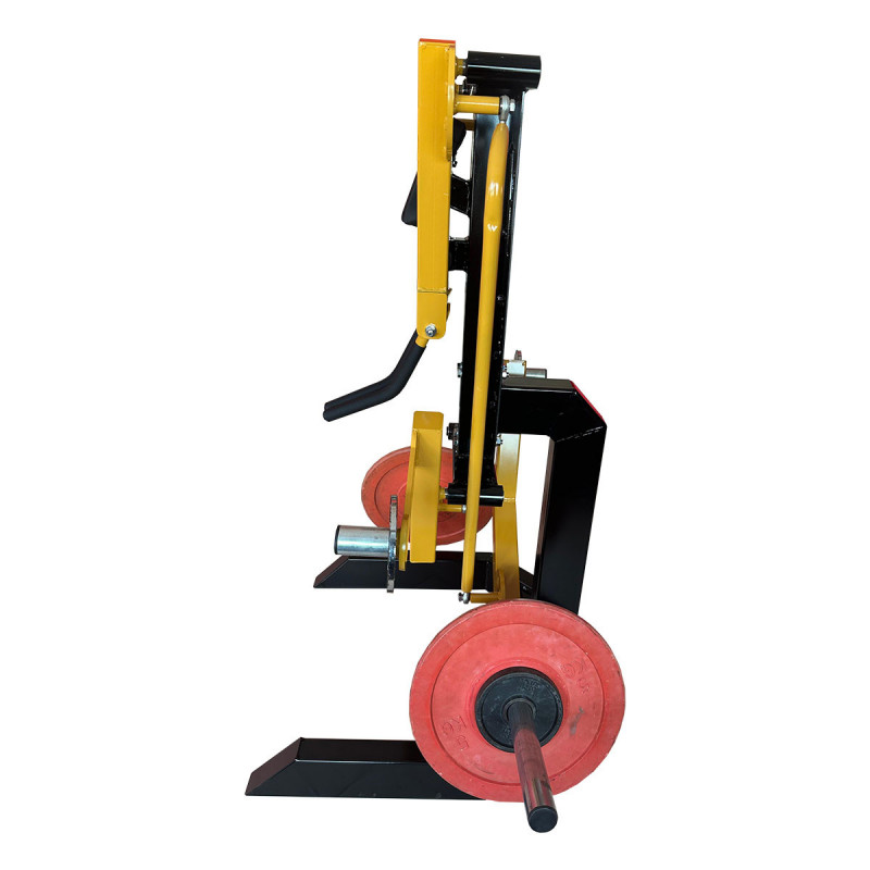 Lateral Raise - Alzate Laterali Professionali Lateral Raise - Alzate Laterali Professionali