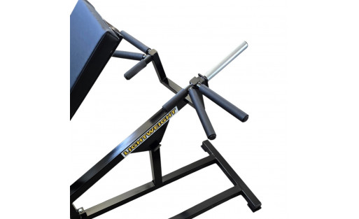 Incline Level Row