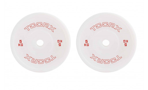 Pair of Technique Plates