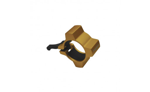 Coppia ferma dischi in alluminio (oro)