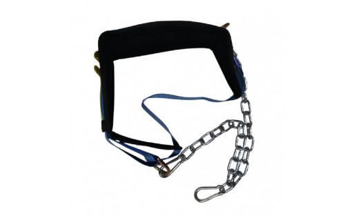 Cintura Belt Squat