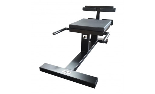 Nordic Curl | Femoral Training | SPORTARETUSA