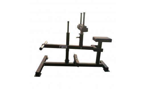 Seated Calf Machine